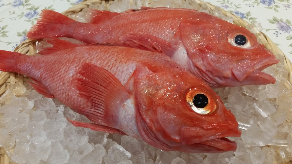 【数量限定】＜網走産＞釣きんき開き大2枚入り（網走加工） ABF006